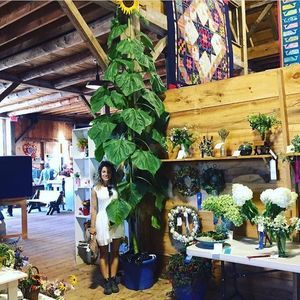 Meet your Posher, Georgia